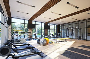 留学与投资澳洲房产 资产优化配置的双赢策略