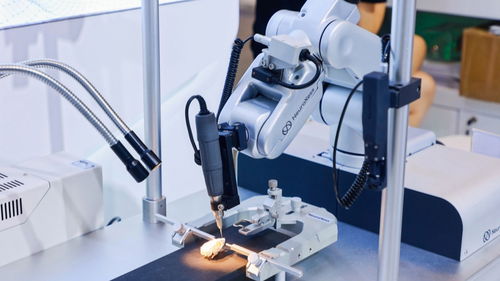 硬核科技企业为何纷纷落地上海生物科技研发高地？