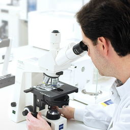 戴森微生物实验室 从尘埃中探寻科技创新的秘密