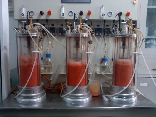 科技引领健康，益然展望未来 北京益然生物科技首届新闻发布会聚焦生物科技研发新纪元