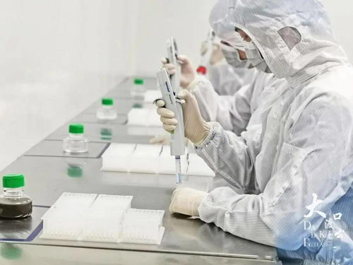 大渡口区生物科技领域博士后科研工作站概览