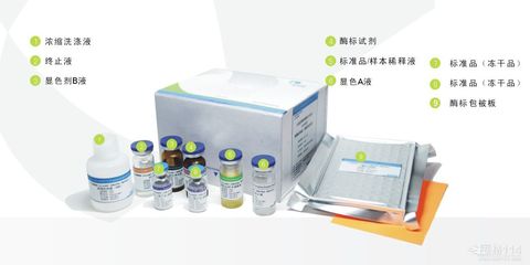 植物N-甲基腐胺氧化酶(MPO)ELISA试剂盒在生物科技研发中的应用与展望